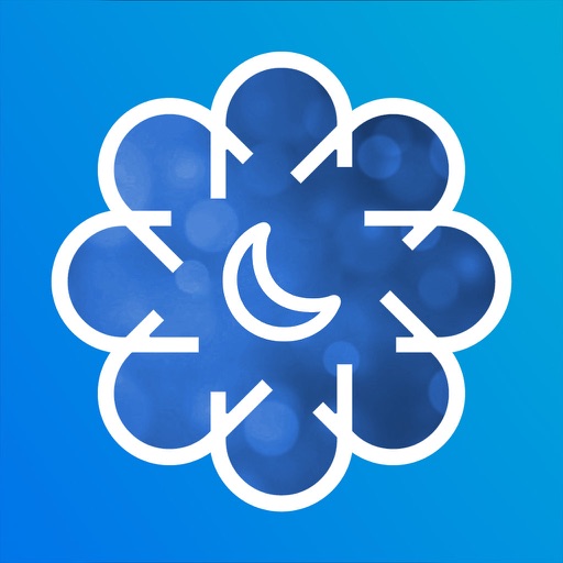 Islamic AI | Quran & Sunnah